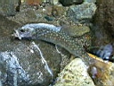 2007-05-22 062.JPG